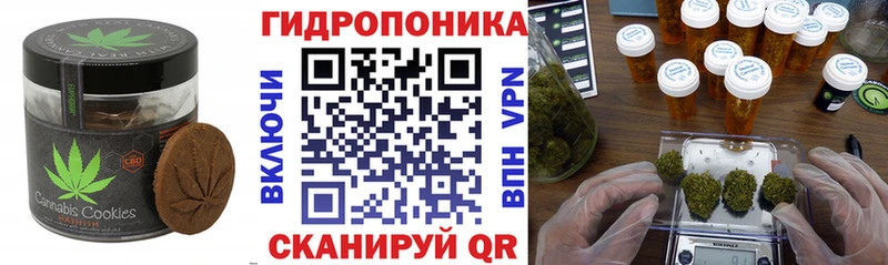 Canna-Cookies марихуана  Купить  Старая Русса 