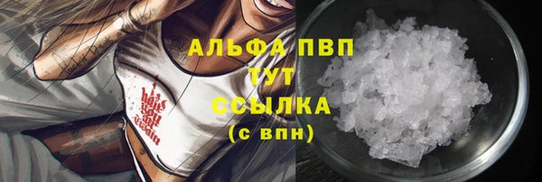 дживик Зеленокумск
