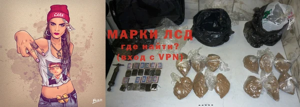 прущие грибы Зеленодольск