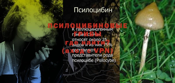 дживик Зеленокумск