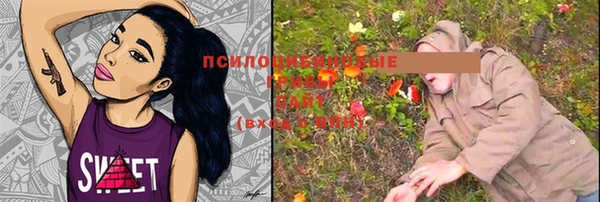 дживик Зеленокумск
