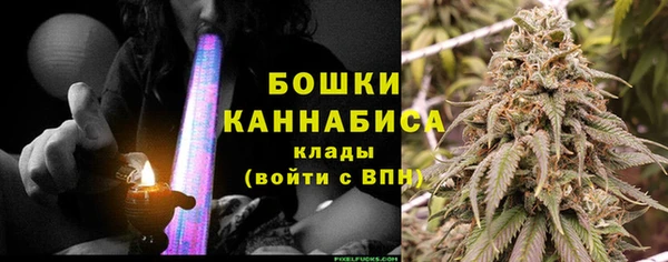 дживик Зеленокумск