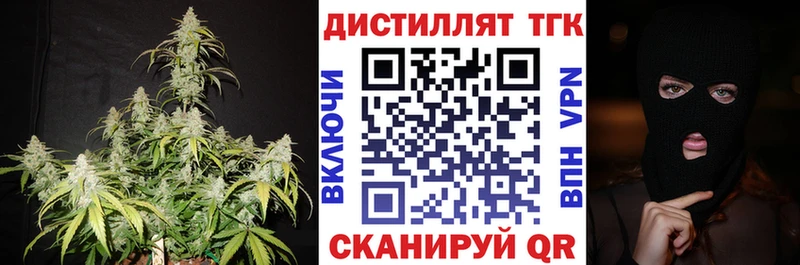 Купить закладки  Старая Русса  ТГК THC oil 