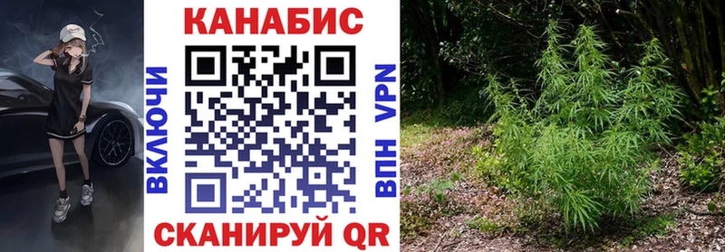 Купить где  Старая Русса  Канабис индика 